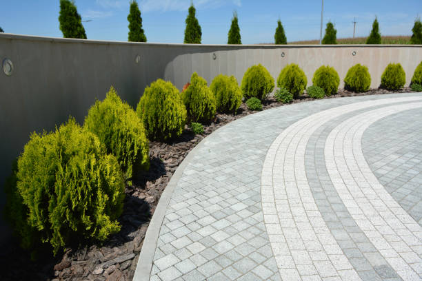 Best Driveway Paving Contractor  in Palo Cedro, CA